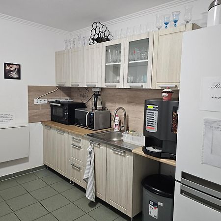 Borostyan Panzio Bed and Breakfast Debrecen Exteriör bild