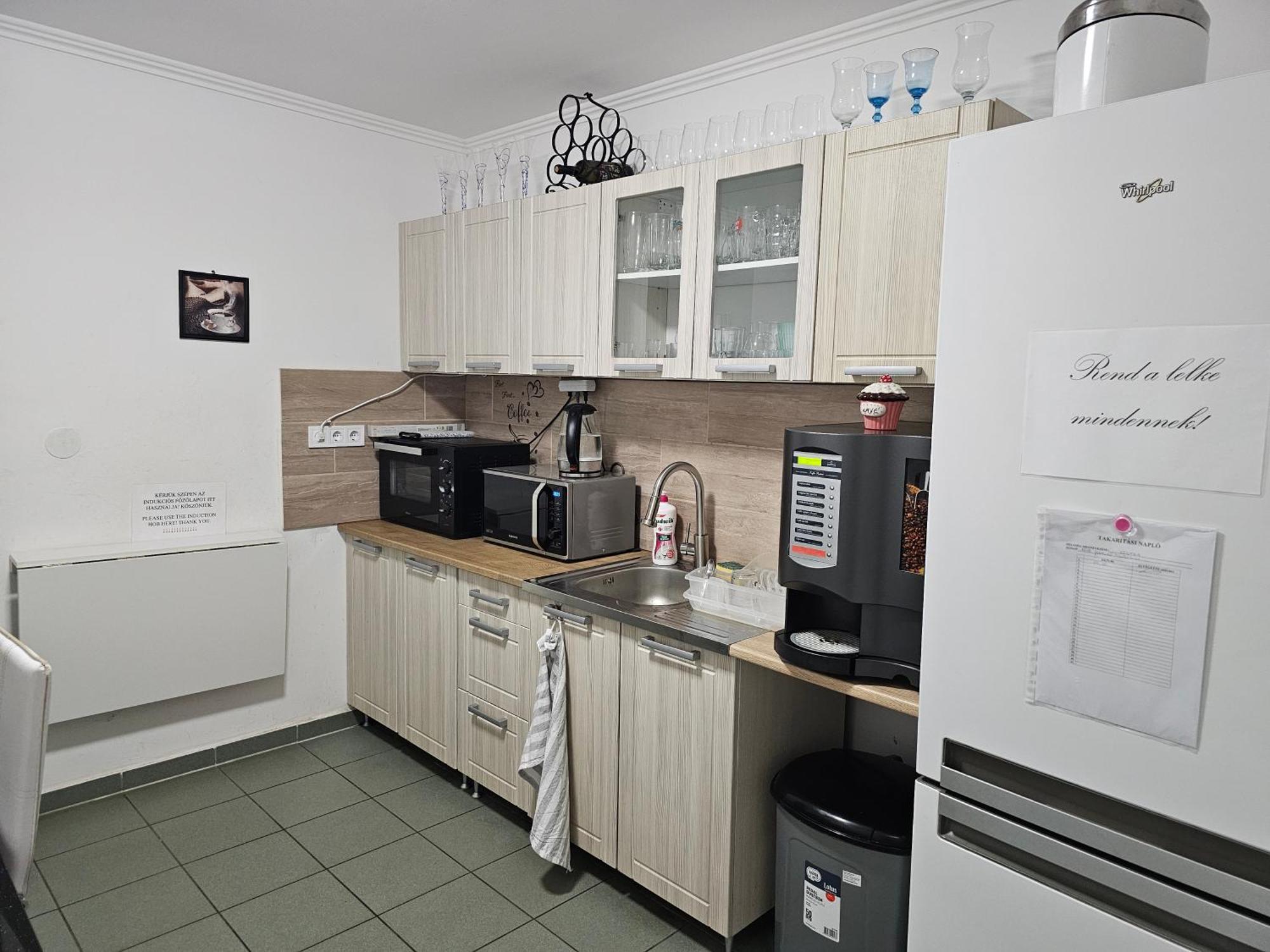 Borostyan Panzio Bed and Breakfast Debrecen Exteriör bild