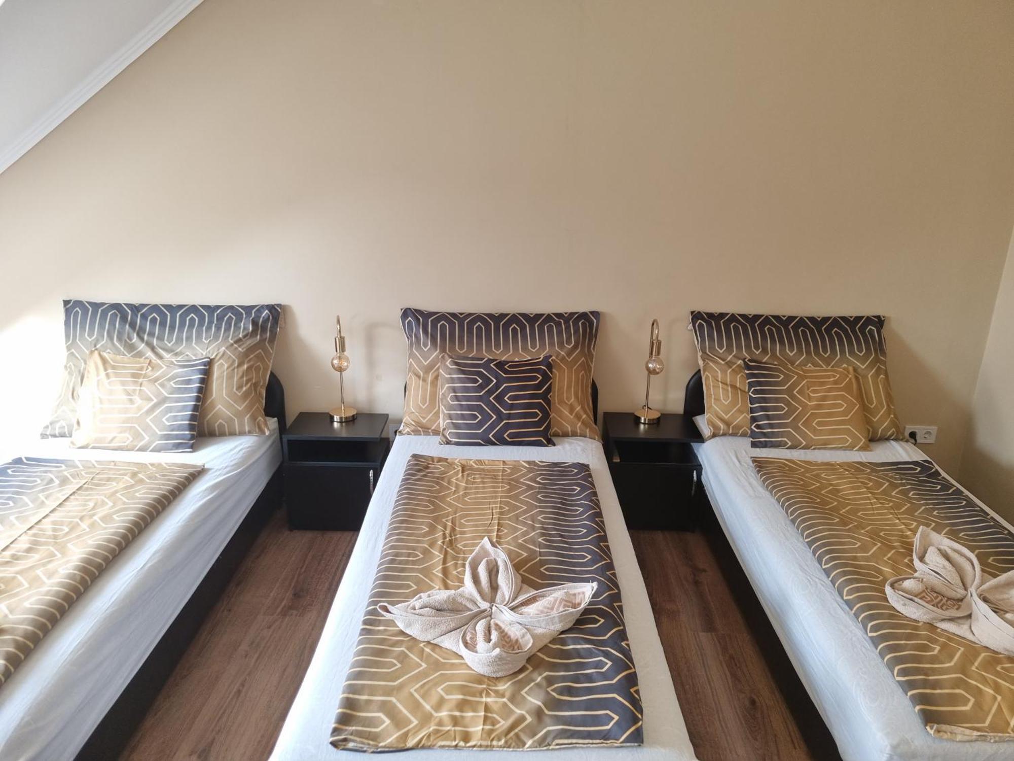 Borostyan Panzio Bed and Breakfast Debrecen Exteriör bild
